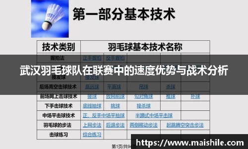 武汉羽毛球队在联赛中的速度优势与战术分析